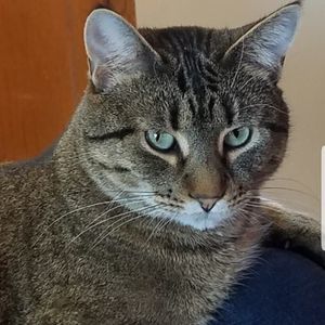 Meet your Posher, Rose